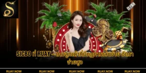 Sicbo ที่ Ruay – เกมลูกเต๋าที่มีกฎการเล่นง่าย อัตราจ่ายสูง